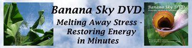 banana sky dvd header